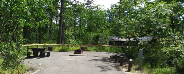 Camp loop Campsite 16