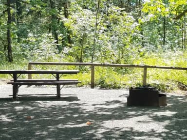 Camp loop Campsite 18