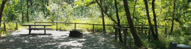 Camp loop Campsite 18