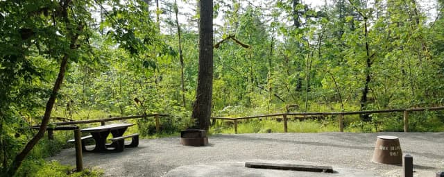 Camp loop Campsite 20