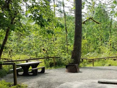 Camp loop Campsite 20