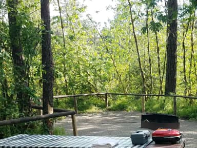 Camp loop Campsite 21