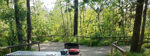 Camp loop Campsite 21