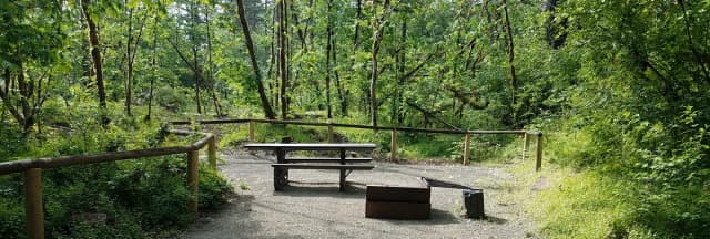 Camp loop Campsite 22