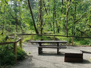 Camp loop Campsite 22