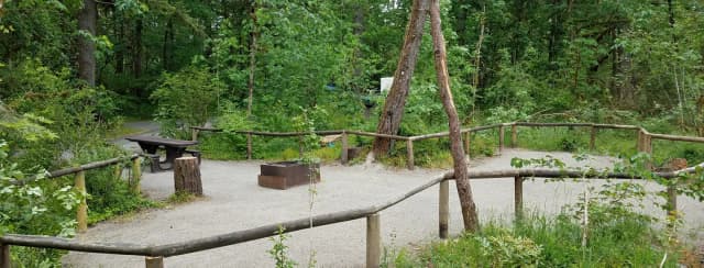 Camp loop Campsite 23