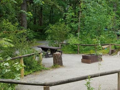 Camp loop Campsite 23