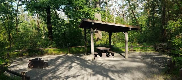 Camp loop Campsite 24