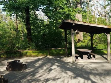 Camp loop Campsite 24