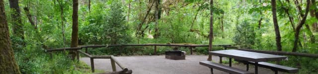 Camp loop Campsite 25