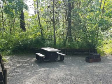Camp loop Campsite 26