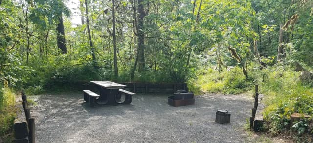 Camp loop Campsite 26