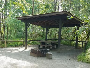 Camp loop Campsite 28