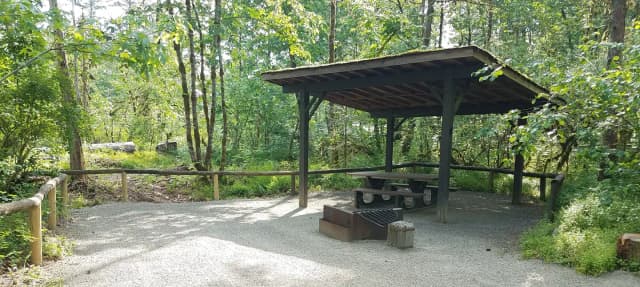 Camp loop Campsite 28