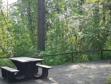 Camp loop Campsite 29