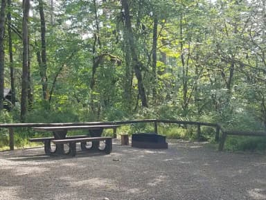 Camp loop Campsite 30