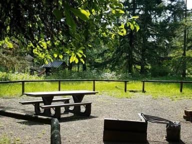 Camp loop Campsite 31