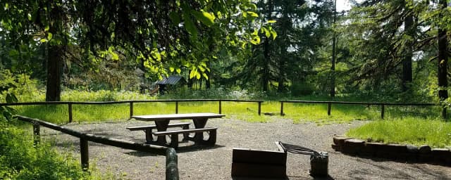 Camp loop Campsite 31