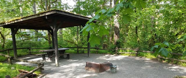 Camp loop Campsite 32