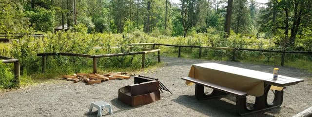 Camp loop Campsite 33