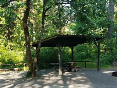 Camp loop Campsite 34