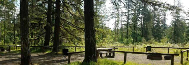 Camp loop Campsite 35