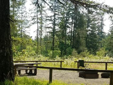 Camp loop Campsite 35
