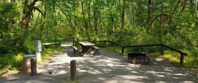 Camp loop Campsite 36