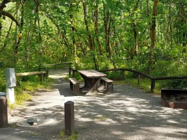 Camp loop Campsite 36