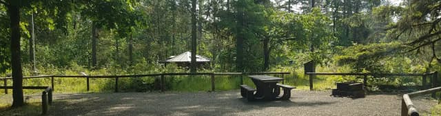 Camp loop Campsite 37