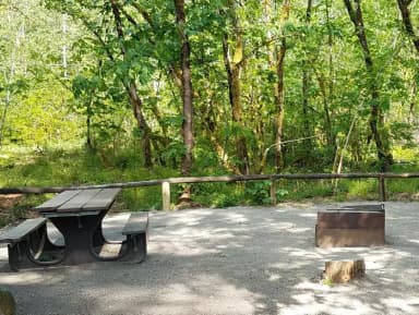 Camp loop Campsite 38