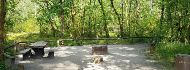 Camp loop Campsite 38