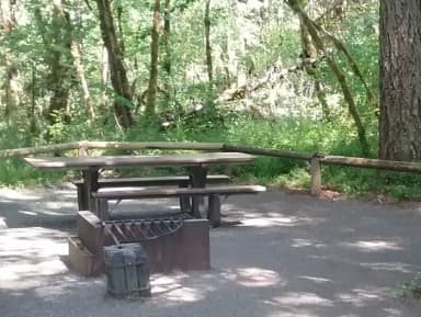 Camp loop Campsite 40