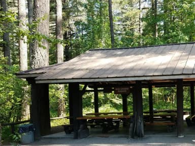 Group Camp 1