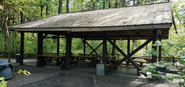 Group Camp 2