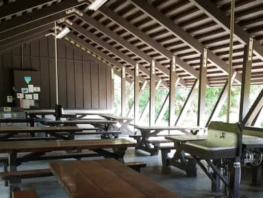 Group Shelter 5
