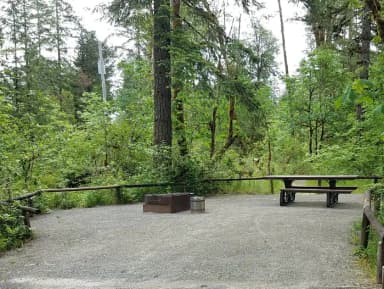 River Loop Campsite 1