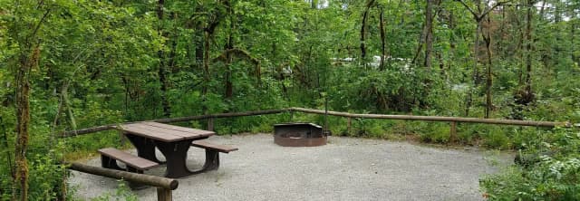 River Loop Campsite 2