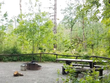 River Loop Campsite 3
