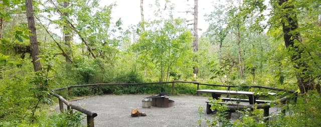 River Loop Campsite 3