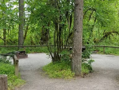 River Loop Campsite 6