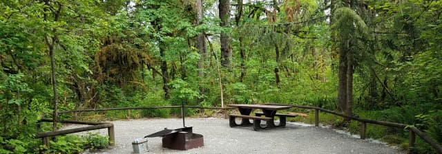River Loop Campsite 7
