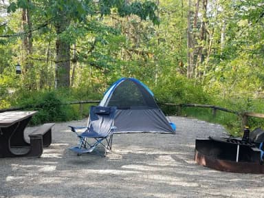 River Loop Campsite 8