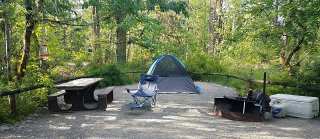 River Loop Campsite 8