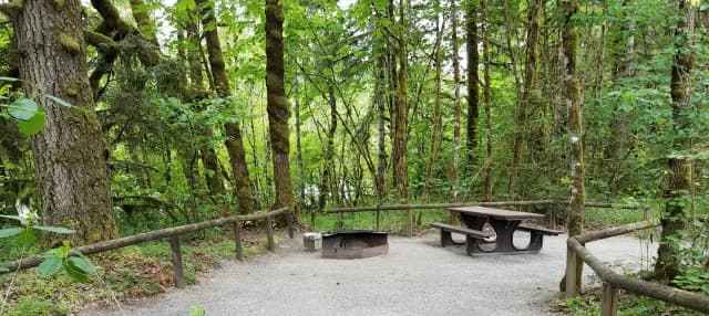River Loop Campsite 10