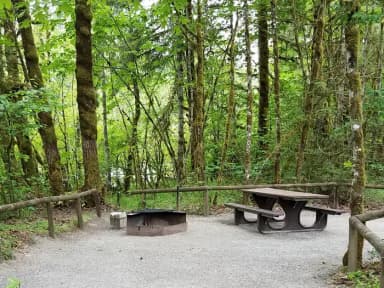 River Loop Campsite 10