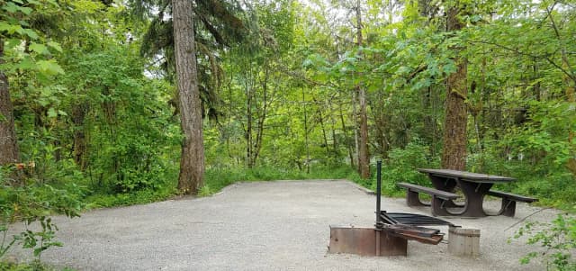 River Loop Campsite 11