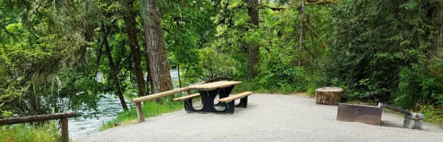 River Loop Campsite 12