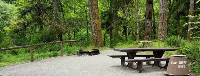 River Loop Campsite 14