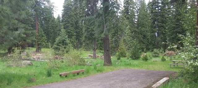 Campsite 1A Hyatt Lake